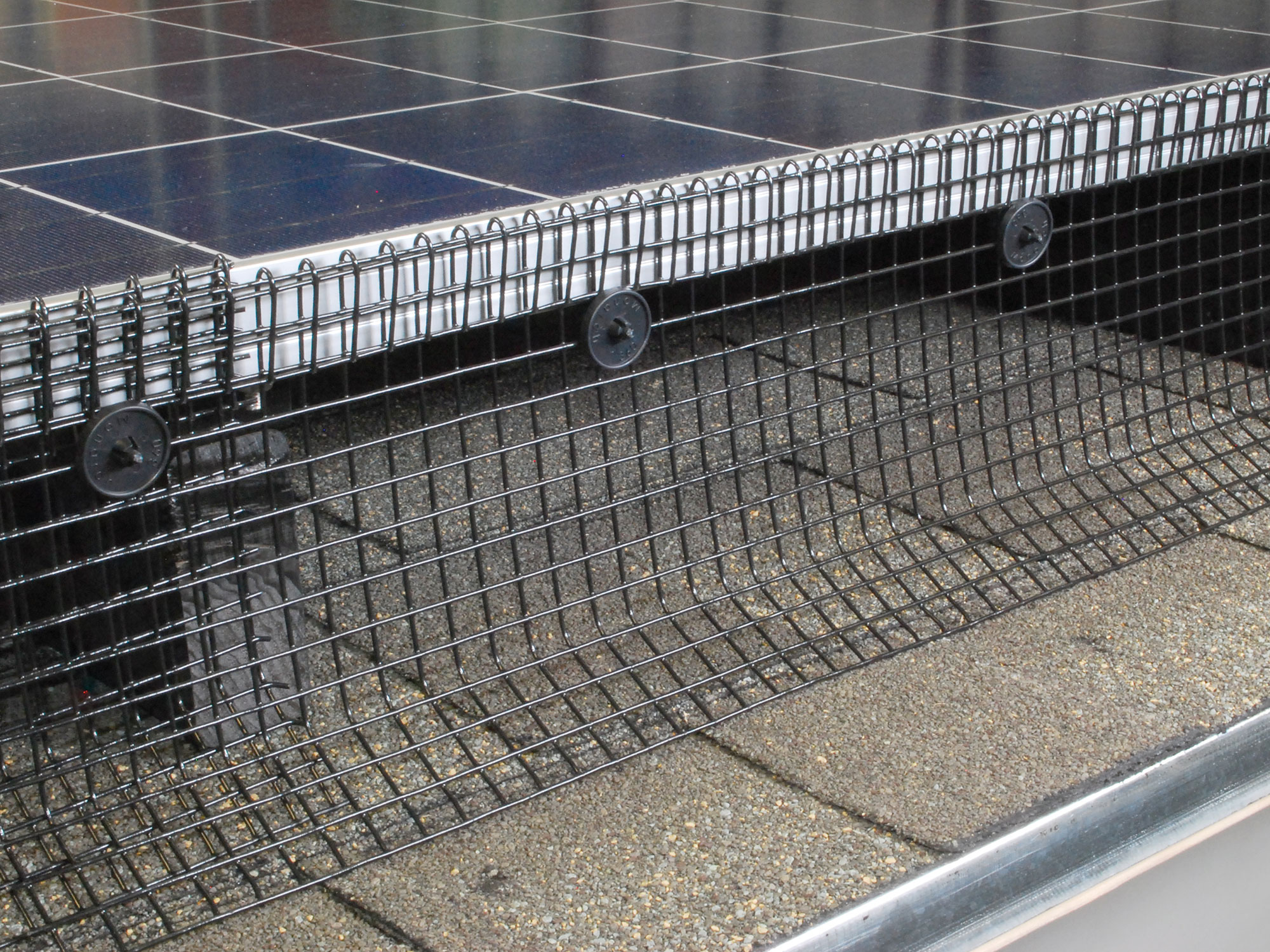 Large Structure Bird Control - CT Mole Pro